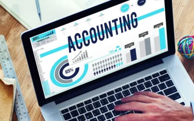 أنواع الدفاتر المحاسبية الحكومية