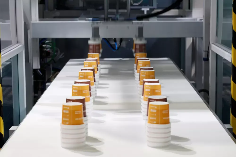 دراسة جدوي تصنيع اكواب ورقية