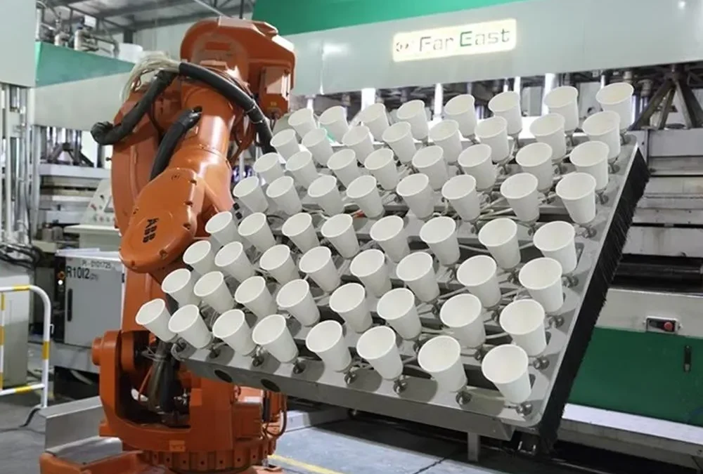 دراسة جدوي تصنيع اكواب ورقية