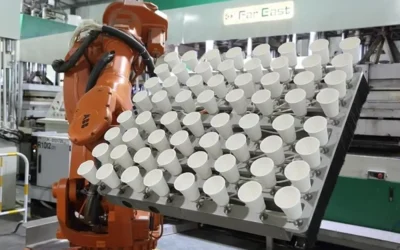 دراسة جدوي تصنيع اكواب ورقية